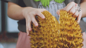 榴蓮剝好肉后，搗成泥狀。