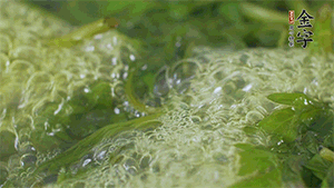 艾草葉放入煮沸的水中，加點食用堿，待變成深綠色時撈出，放入冰水中，瀝干備用。